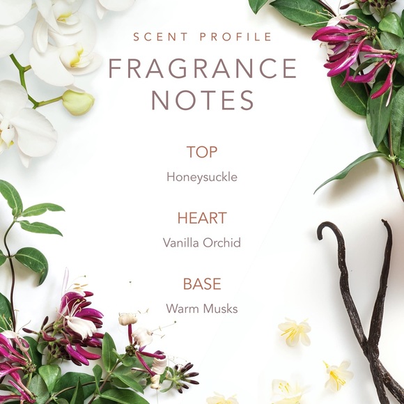 Dolly Parton TENNESSEE SUNSET edt 2ml vial - Picture 5 of 7